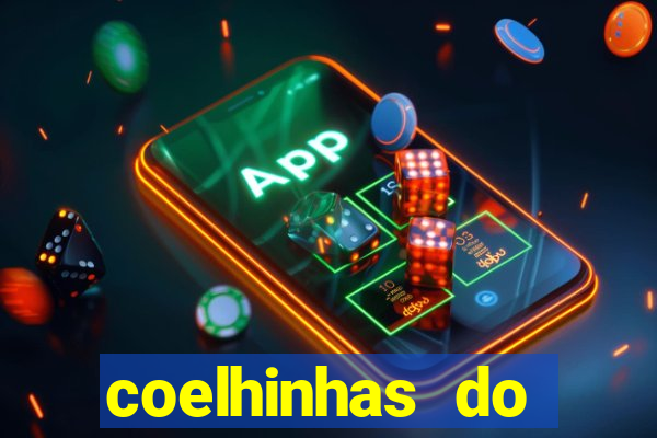 coelhinhas do brasil site